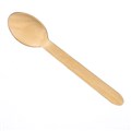 CUTLERY PREMIUM SPOON WAXED PK100 CTN1000