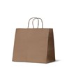 TAKEAWAY LARGE KRAFT BAG 120GSM CTN 100