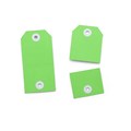 AVERY PERFORATED TAGS 2 IN 1 54 X 108MM GREEN PACK 100