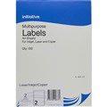 INITIATIVE MULTIPURPOSE LABELS 2UP 65GSM 1996 X 1435MM PACK 100