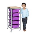 ELIZABETH RICHARDS TOTE TRAY TROLLEYS SINGLE 380 X 440 X 920MM