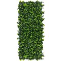 PLANT IMAGE GARDENIA EXPANDING TRELLIS 2000 X 100 X 1000MM