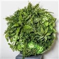 PLANT IMAGE VERTICAL WALL GARDEN ROUND MEDIUM