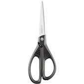 Entry Level Scissors
