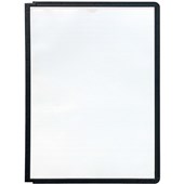 Visual Display Systems